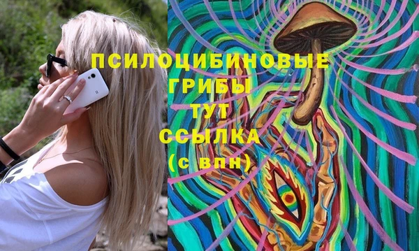 первитин Алексин
