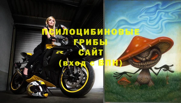 соль курить ск Алзамай