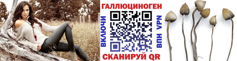 купить наркотики цена  Лысьва  Псилоцибиновые грибы GOLDEN TEACHER 
